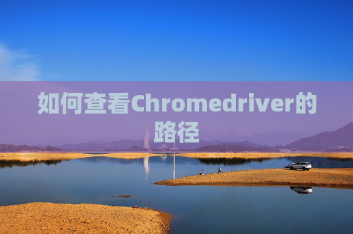 如何查看Chromedriver的路径